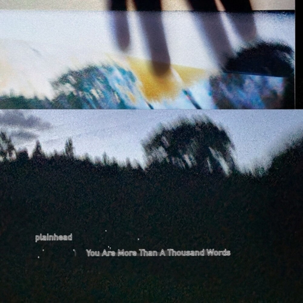 You Are More Than A Thousand Words [LP]