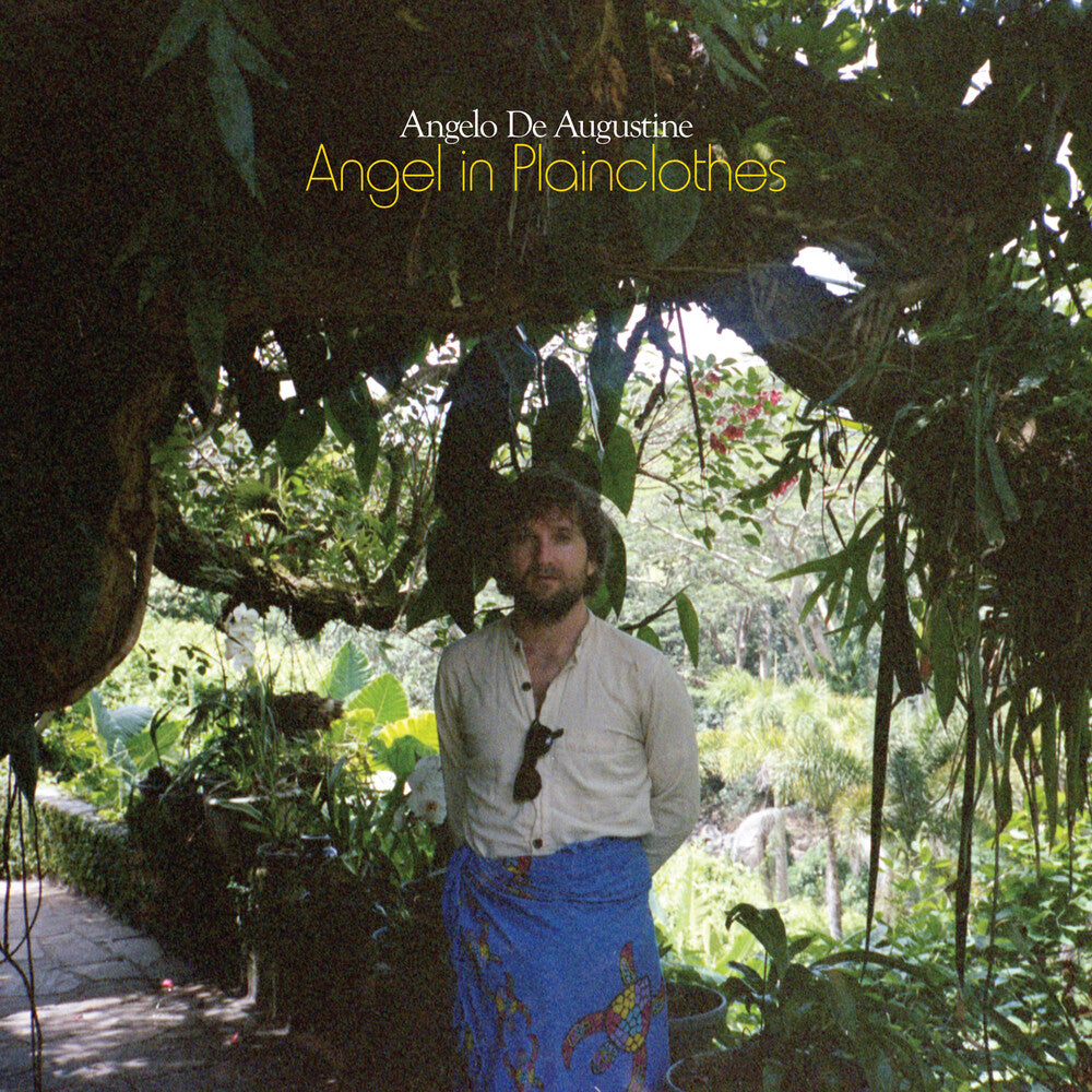 Angel In Plainclothes [CD]