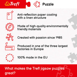 Trefl Red 4000 Piece Puzzle - New York - collage / Trefl (ONLINE ORDER ONLY)