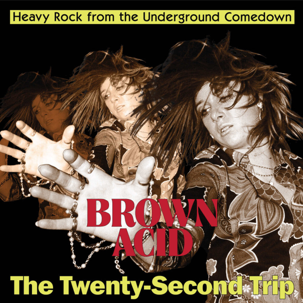 Brown Acid - Twenty-Second Trip / Various [LP]