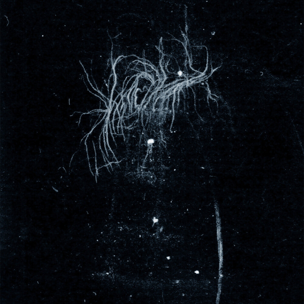 My Death Is More Beautiful Than Your Life [CD]