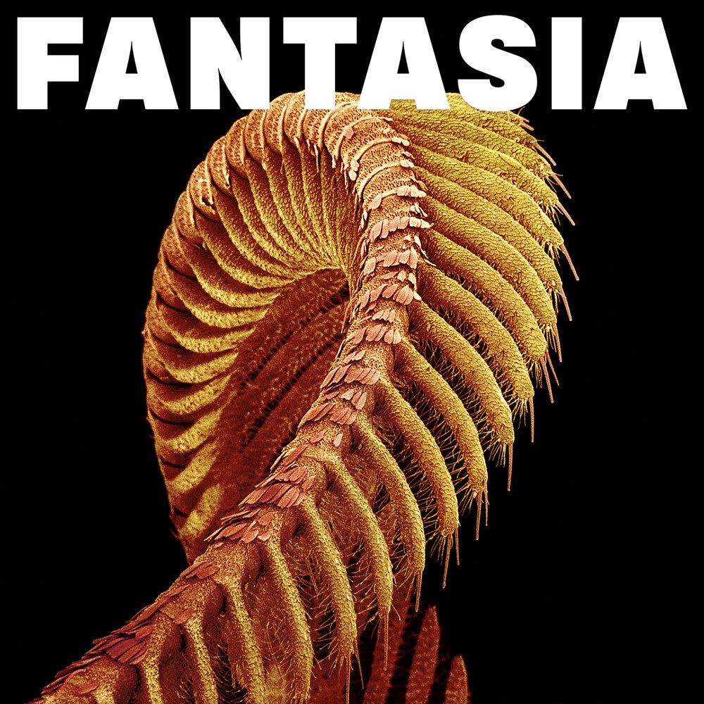 Fantasia [CD]