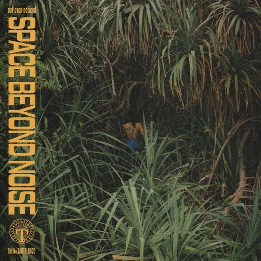 Space Beyond Noise [LP] (ONLINE ORDER ONLY)