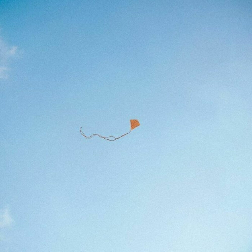 Lost Found & Forgotten [LP] (ONLINE ORDER ONLY)
