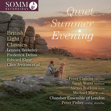 Quiet Summer Evening [CD]
