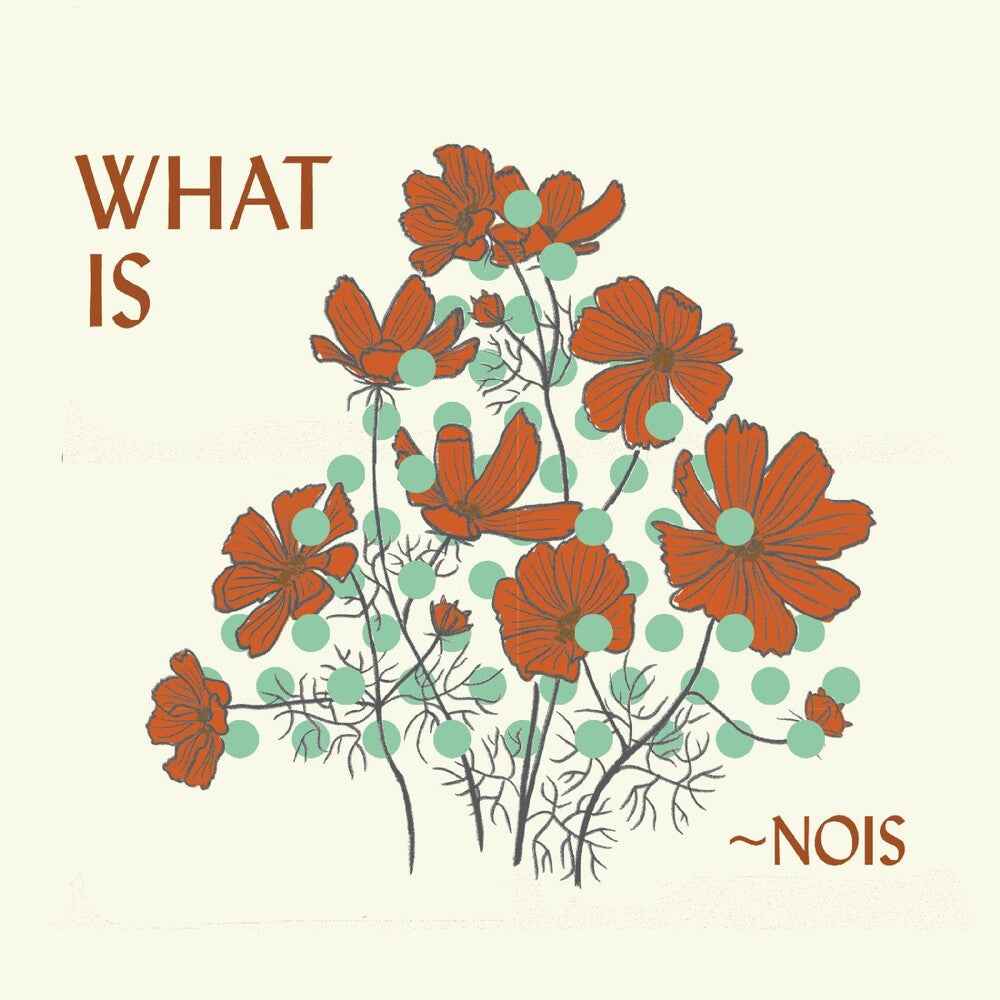 What Is Nois [CD]