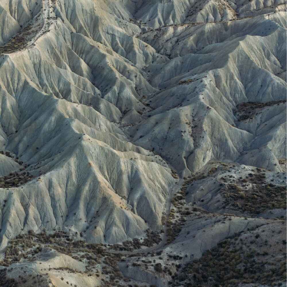 Days [LP]
