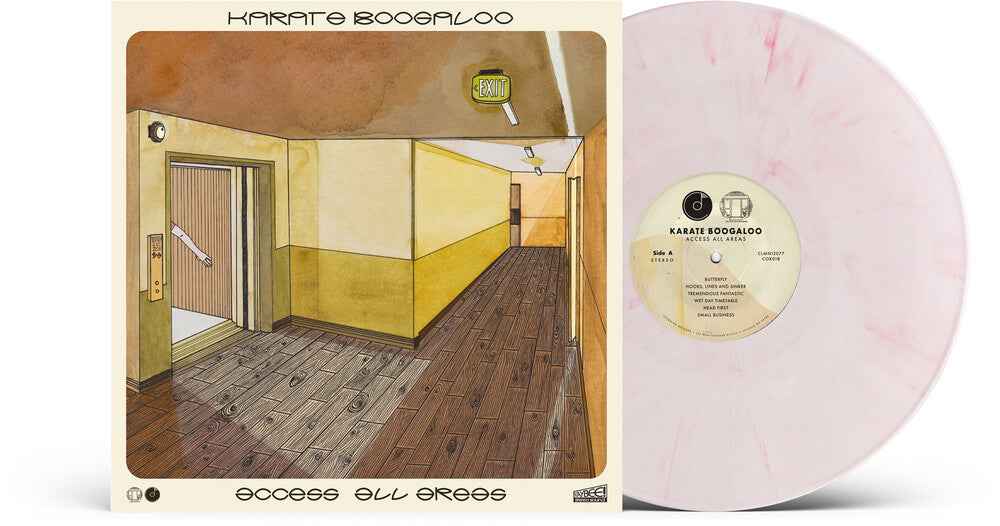 Pre-Order: Access All Areas - Pink [Colored Vinyl] (Pnk) (ONLINE ORDER ONLY)