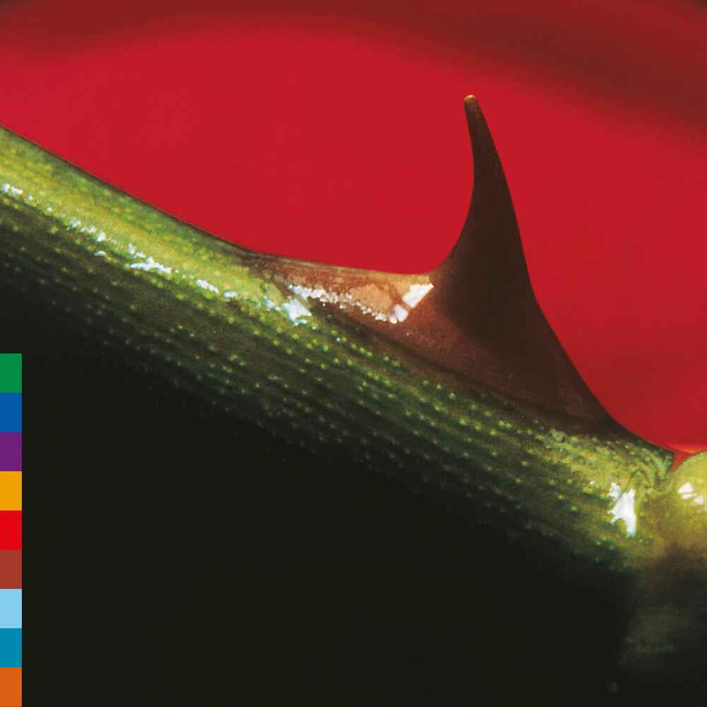 Pre-Order: Night Song - Green [Colored Vinyl] (Grn) (Aniv) [Reissue] (ONLINE ORDER ONLY)