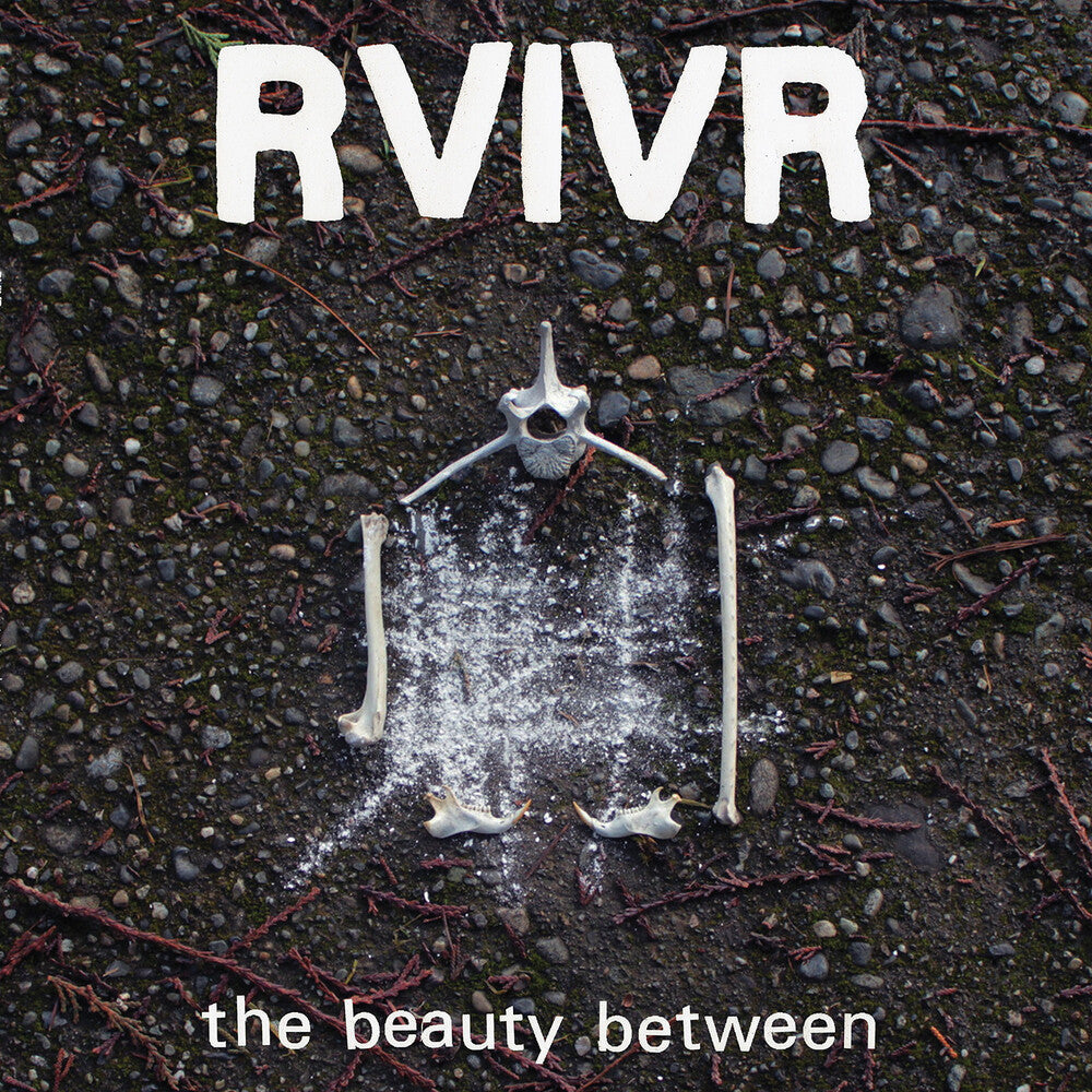 Pre-Order: The Beauty Between [Black/Clear] (ONLINE ORDER ONLY)