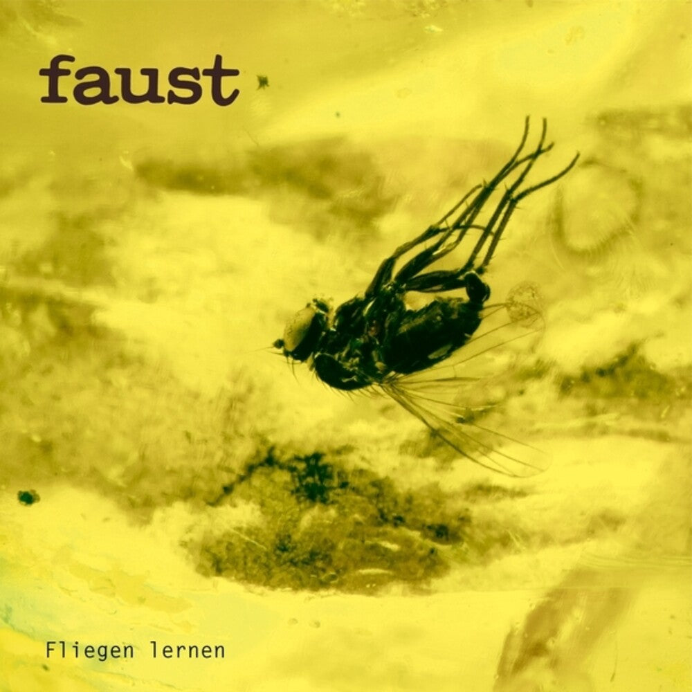 Fliegen Lernen [CD] (ONLINE ORDER ONLY)