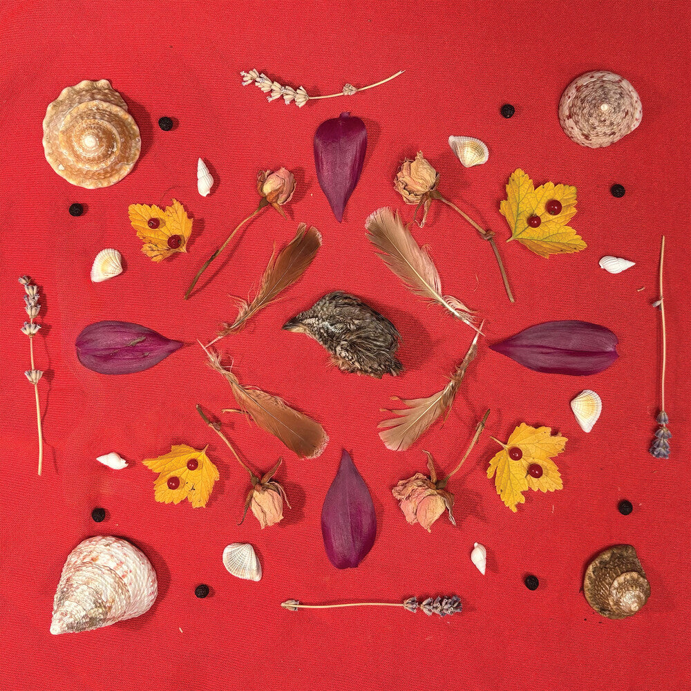 Pre-Order: Grouse Head Talisman [CD] (ONLINE ORDER ONLY)