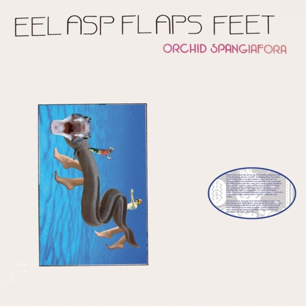 Eel Asp Flaps Feet [LP] (ONLINE ORDER ONLY)