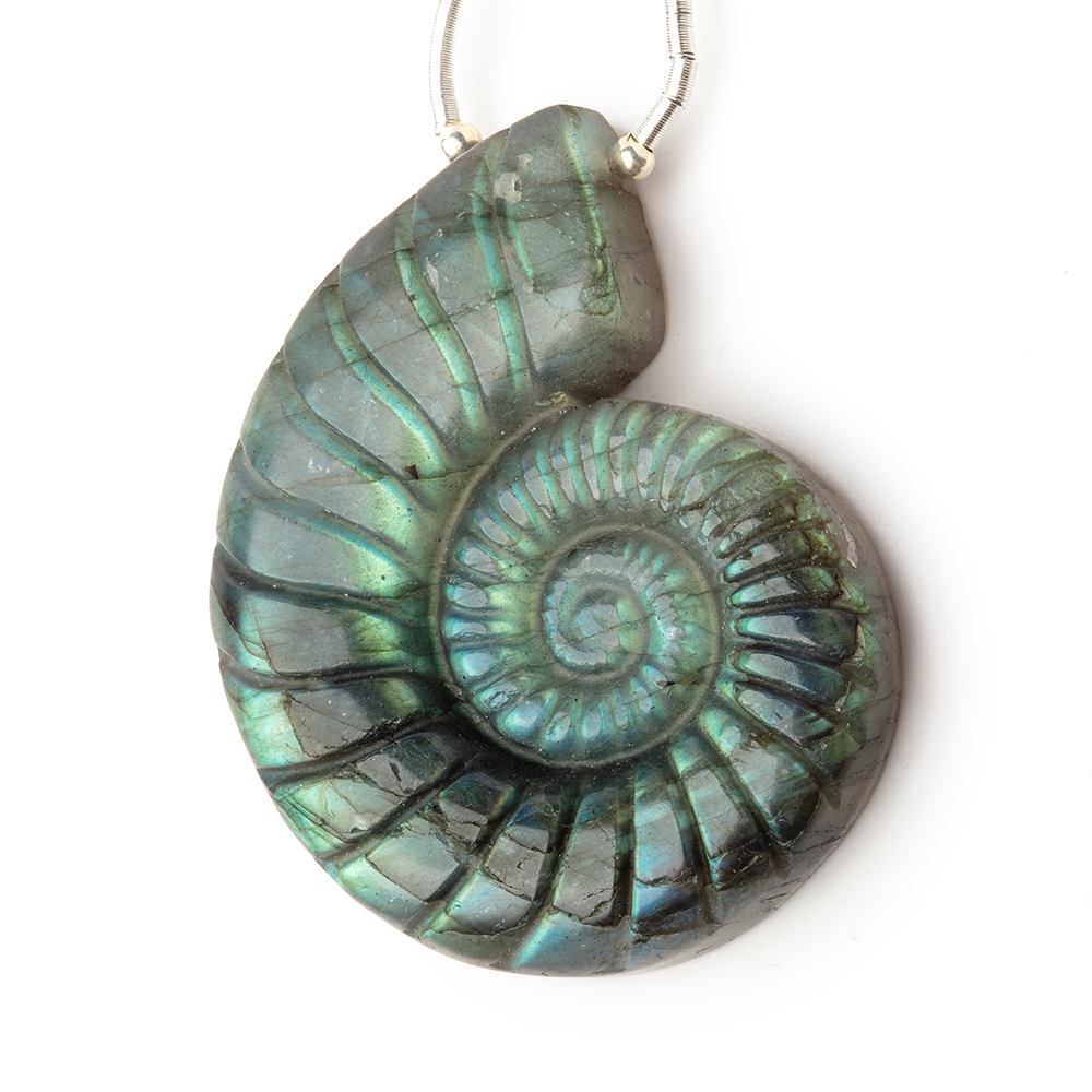 45x34mm Labradorite Carved Ammonite Shaped Focal 1 Pendant (ONLINE ORDER ONLY)