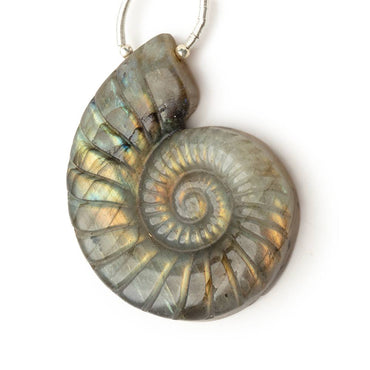 45x36mm Labradorite Carved Ammonite Shaped Focal 1 Pendant (ONLINE ORDER ONLY)