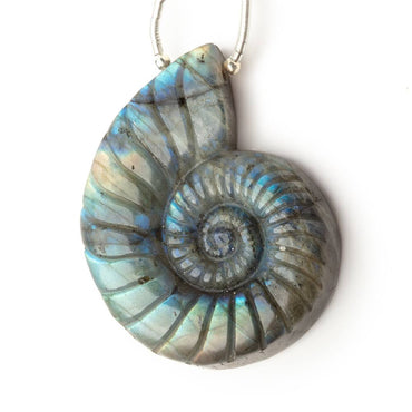 45x37mm Labradorite Carved Ammonite Shaped Focal 1 Pendant (ONLINE ORDER ONLY)