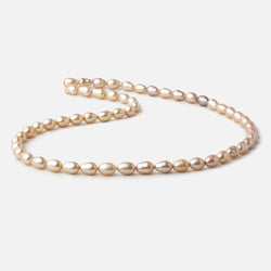 5.5x4.5-6.5x5mm Golden Beige straight drilled Oval freshwater pearls 16 inch 64 pieces A (ONLINE ORDER ONLY)