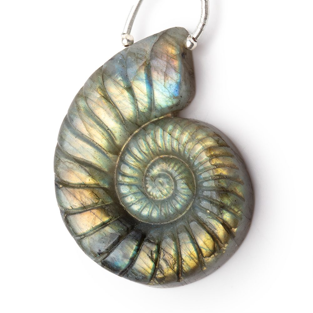 46.5x35.5mm Labradorite Carved Ammonite Shaped Focal 1 Pendant (ONLINE ORDER ONLY)
