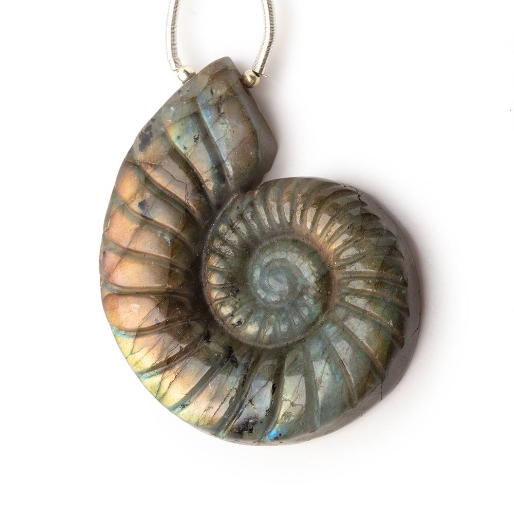 46.5x36.5mm Labradorite Carved Ammonite Shaped Focal 1 Pendant (ONLINE ORDER ONLY)