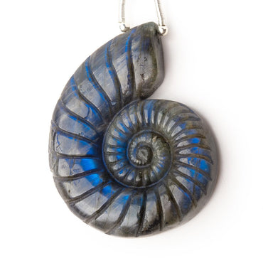 46.5x36.5mm Labradorite Carved Ammonite Shaped Pendant 1 Focal (ONLINE ORDER ONLY)