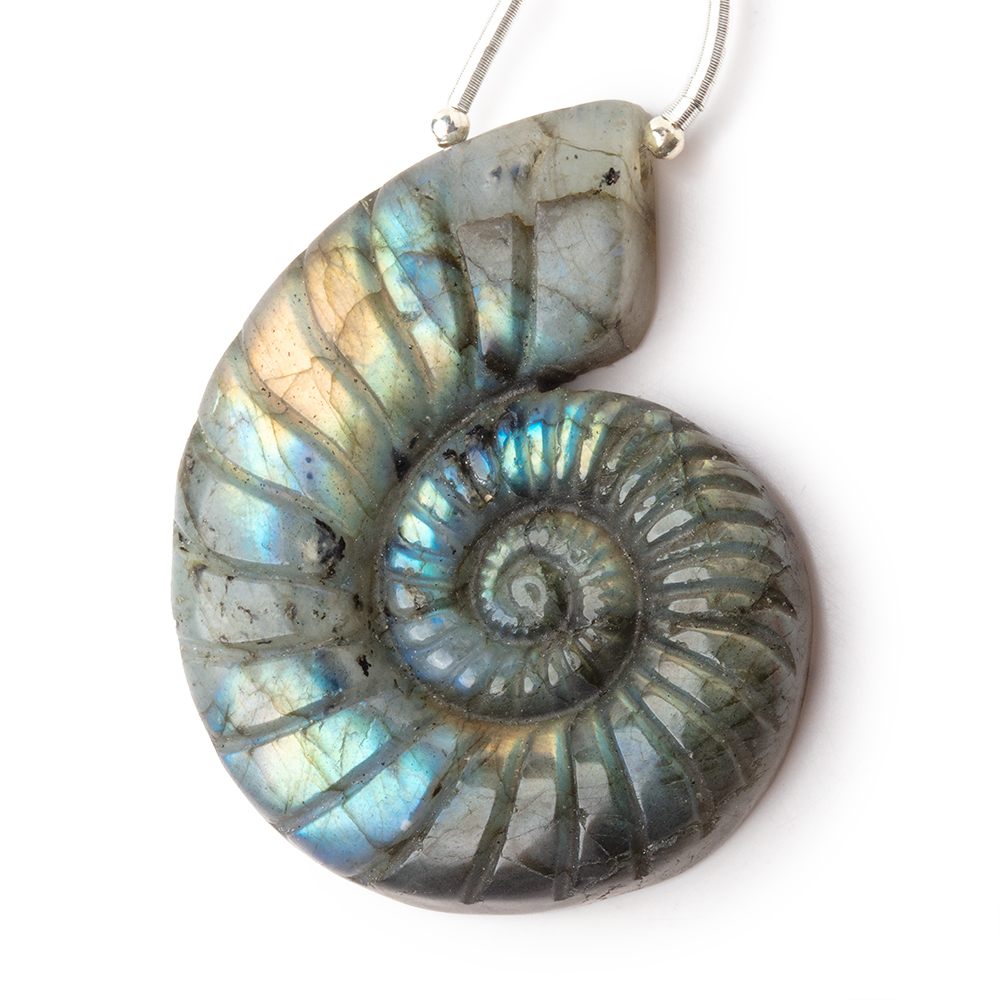 46.5x37mm Labradorite Carved Ammonite Shaped Focal 1 Pendant (ONLINE ORDER ONLY)