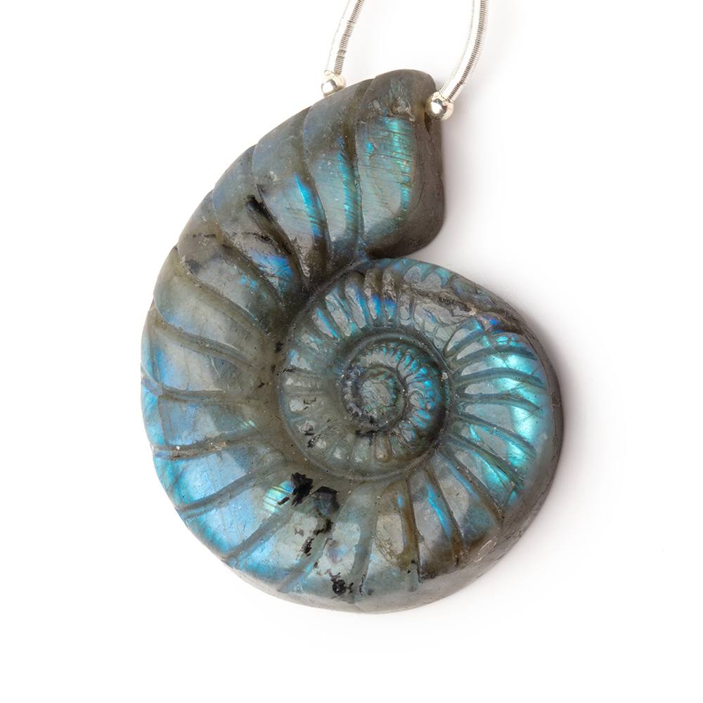 46.5x37mm Labradorite Carved Ammonite Shaped Pendant 1 piece (ONLINE ORDER ONLY)