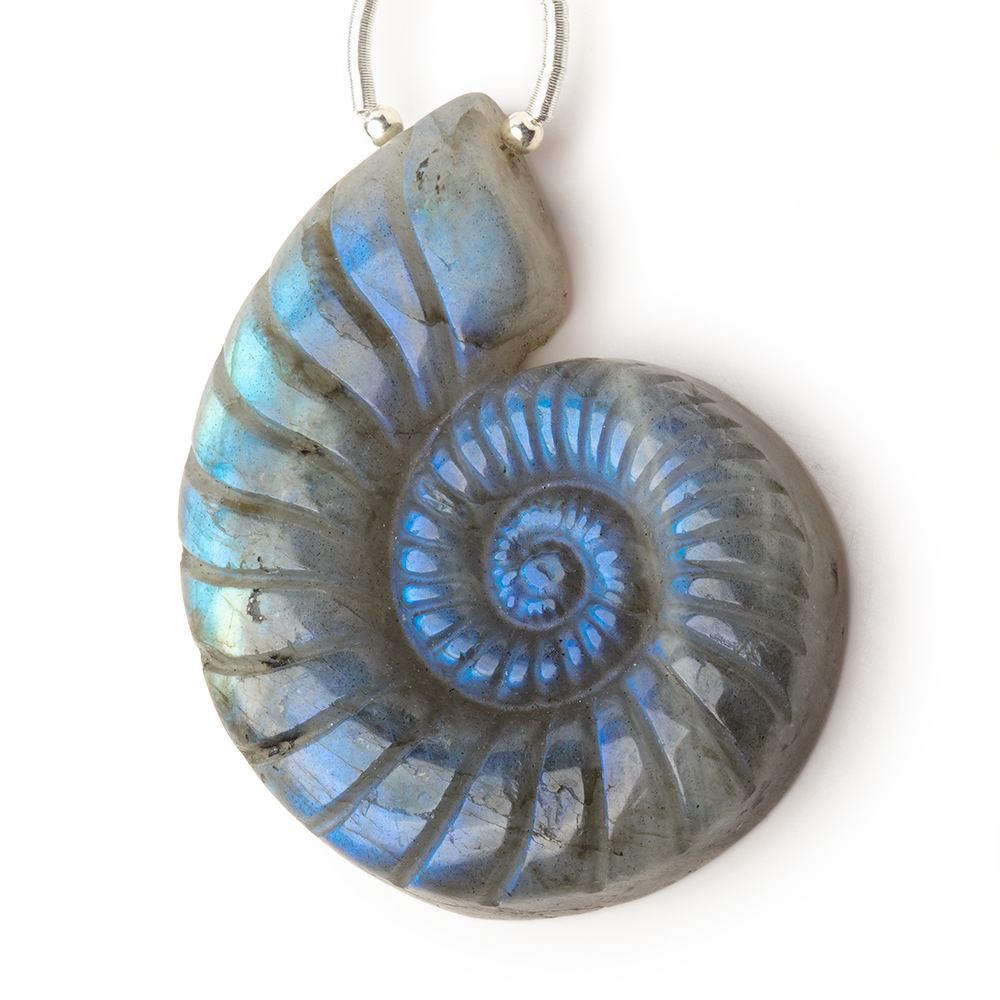 47x36mm Labradorite Carved Ammonite Shaped Focal 1 Pendant (ONLINE ORDER ONLY)