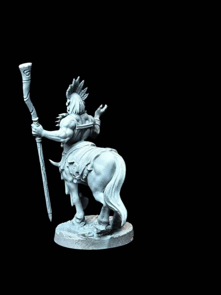Centaur Shaman (ONLINE ORDER ONLY)