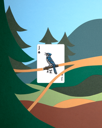 Limited Brown Edition Smokey Bear Playing Cards (ONLINE ORDER ONLY)