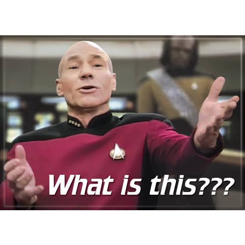 Star Trek: Picard What Is This? (ONLINE ORDER ONLY)
