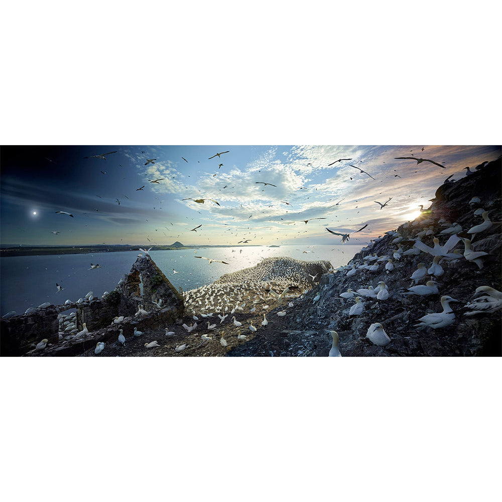 Stephen Wilkes: Bass Rock, Scotland - Day to Night (ONLINE ORDER ONLY)