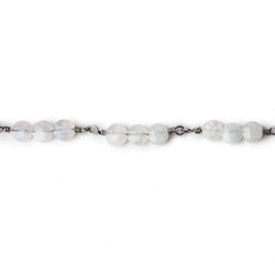 4mm Rainbow Moonstone faceted coin Trio Black Gold Chain by the foot 54 beads per length (ONLINE ORDER ONLY)