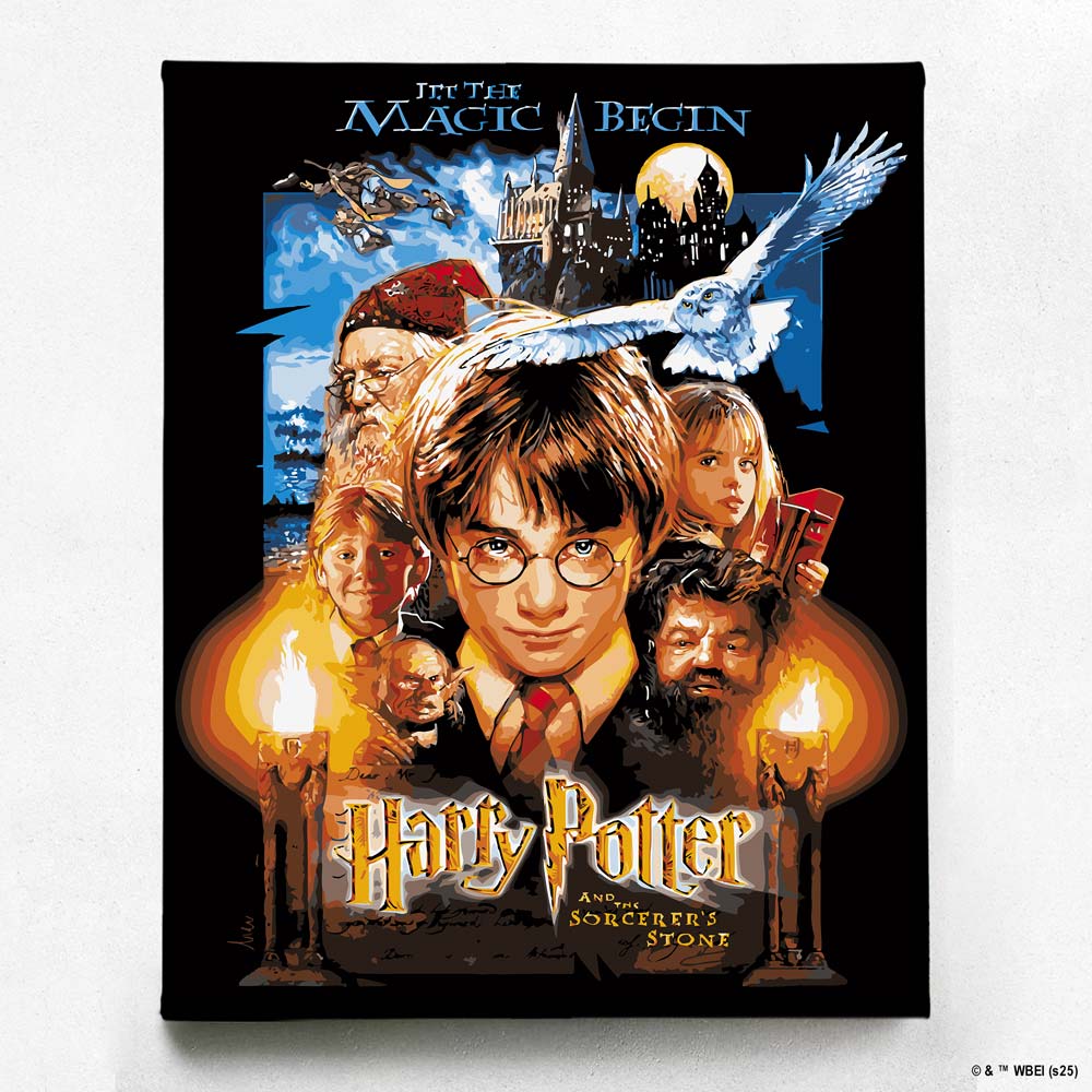Harry Potter and the Sorcerer's Stone - Paint By Numbers Kit (ONLINE ORDER ONLY)