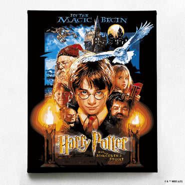 Harry Potter and the Sorcerer's Stone - Paint By Numbers Kit (ONLINE ORDER ONLY)