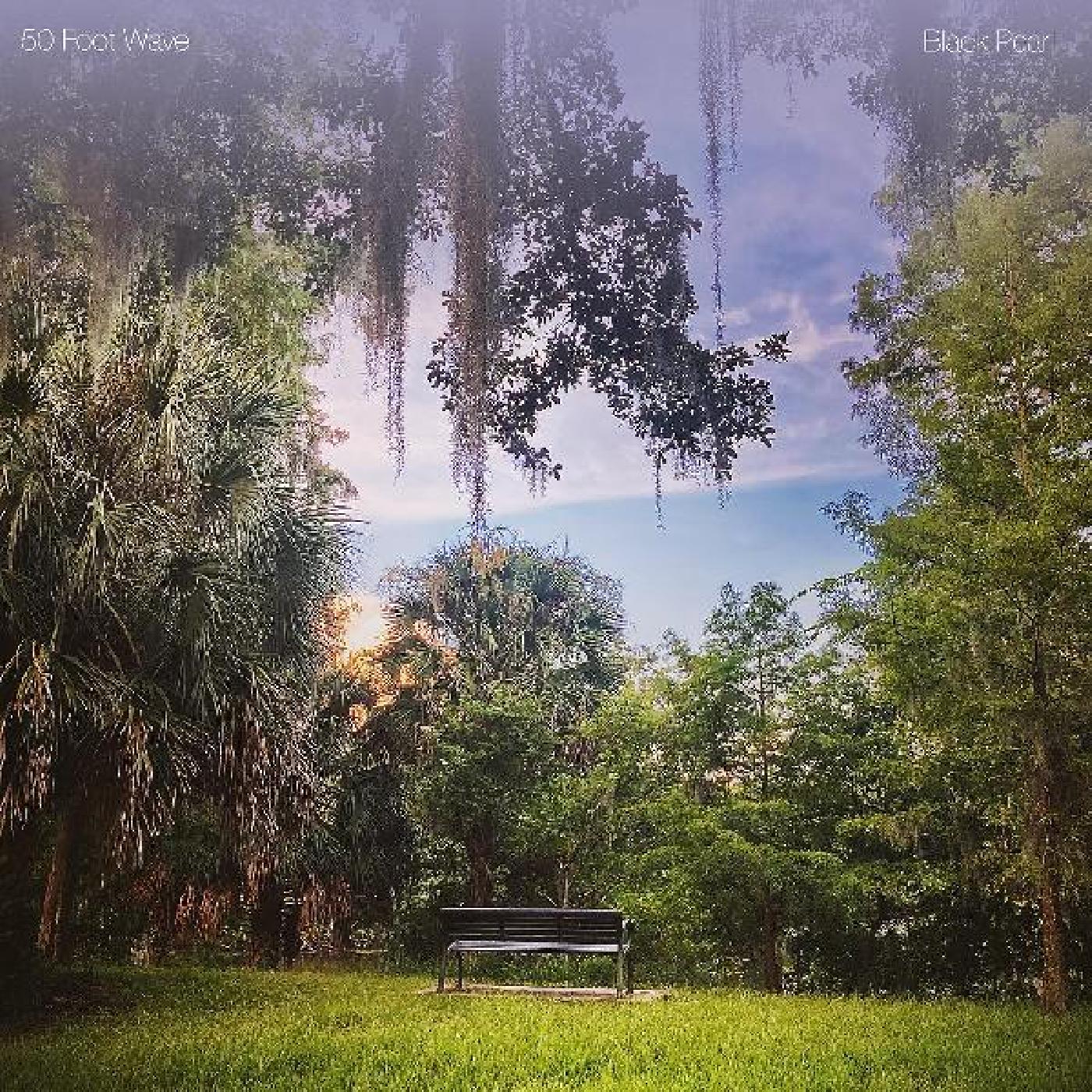 Black Pearl (TURQUOISE VINYL) [Vinyl]