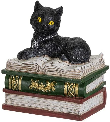 Black Cat on Books (ONLINE ORDER ONLY)