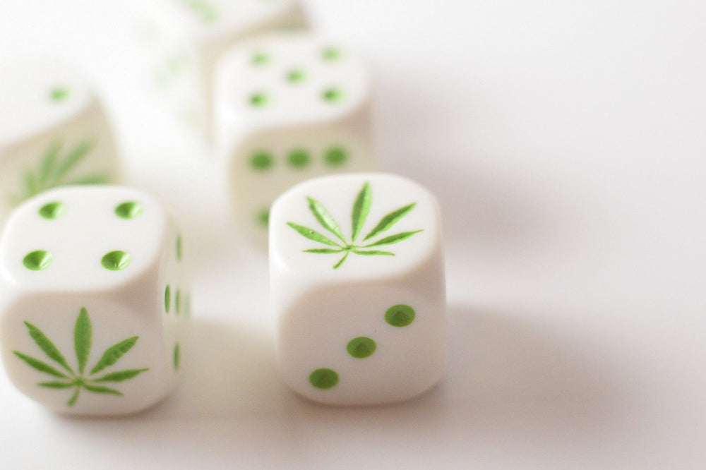 Six Sided D6 16mm Marijuana dice Die White with Green Pips 420 RPG (per piece) (Online Only)