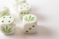 Six Sided D6 16mm Marijuana dice Die White with Green Pips 420 RPG (per piece) (Online Only)