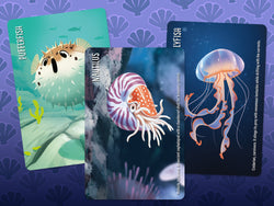 Similo: Aquatic Animals (ONLINE ORDER ONLY)