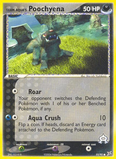 Team Aqua's Poochyena (55/95) [EX: Team Magma vs Team Aqua] (Online Only)