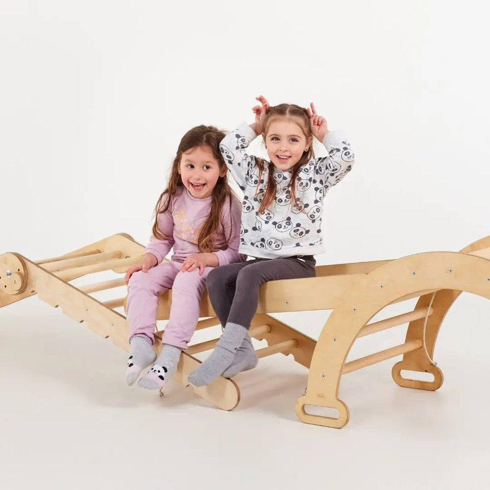 5in1 Montessori Climbing Set: Triangle Ladder + Climbing Arch + Slide Board + Climbing Net + Art Addition (ONLINE ORDER ONLY)