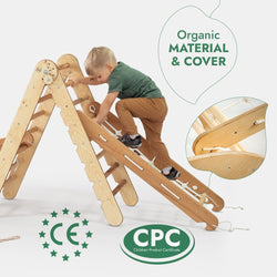 5in1 Montessori Climbing Set: Pikler, Climbing Arch, Slide, Net & Cushion (ONLINE ORDER ONLY)