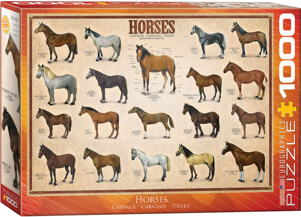 Puzzle: Animal Charts - Horses (ONLINE ORDER ONLY)