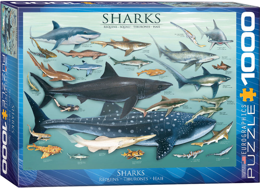 Puzzle: Animal Charts - Sharks (ONLINE ORDER ONLY)
