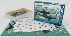 Puzzle: Animal Charts - Sharks (ONLINE ORDER ONLY)