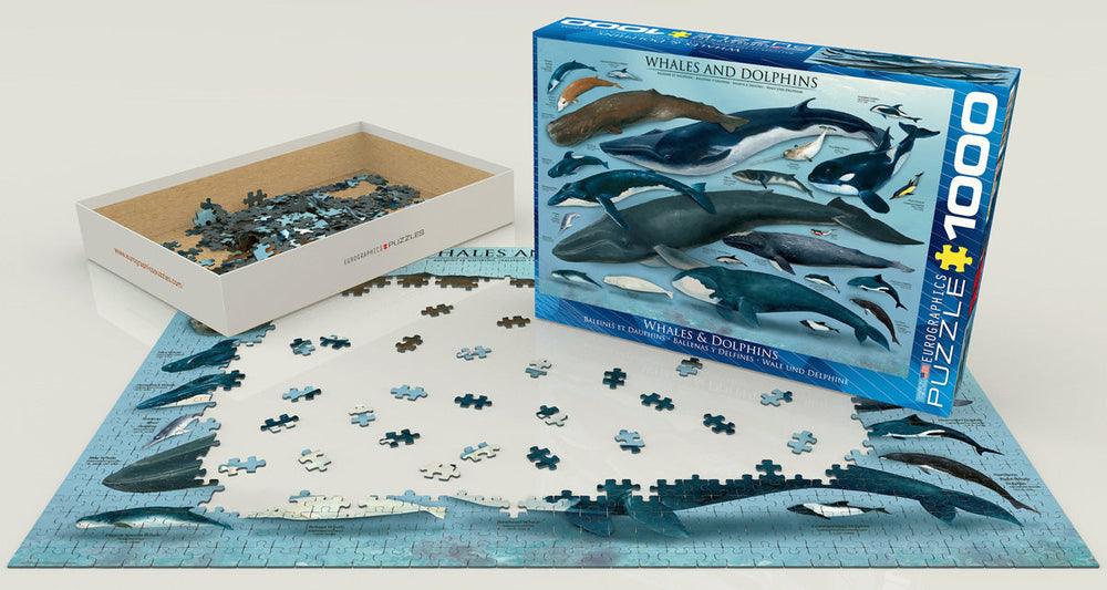 Puzzle: Animal Charts - Whales & Dolphins (ONLINE ORDER ONLY)