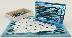 Puzzle: Animal Charts - Whales & Dolphins (ONLINE ORDER ONLY)