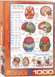 Puzzle: History & General Interest - The Brain (ONLINE ORDER ONLY)