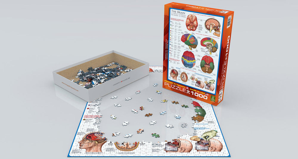Puzzle: History & General Interest - The Brain (ONLINE ORDER ONLY)