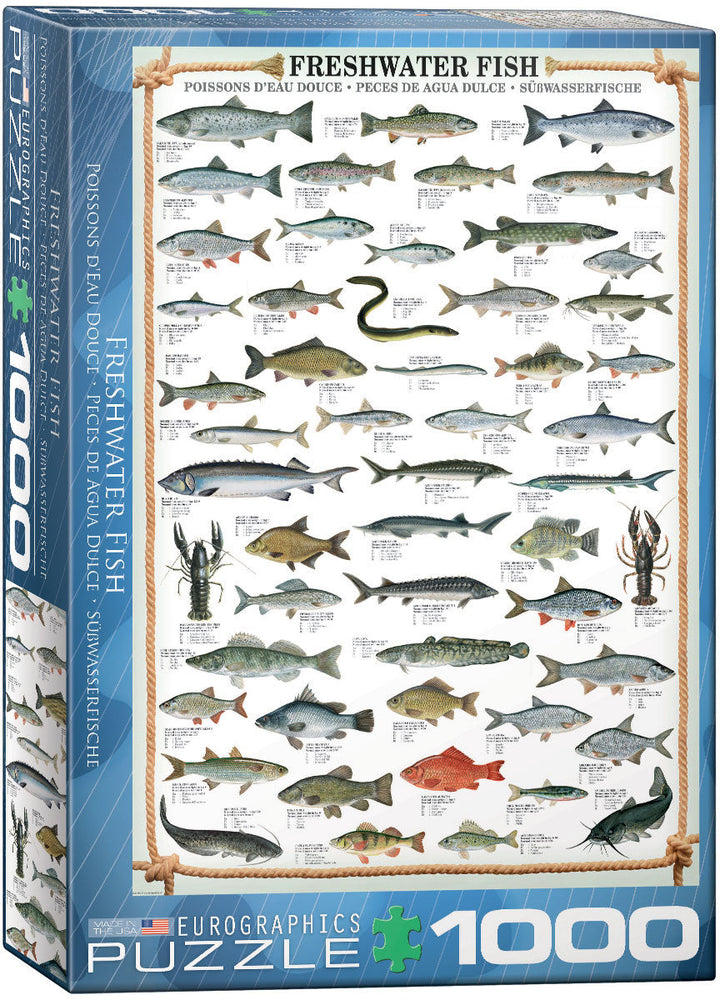 Puzzle: Animal Charts - Freshwater Fish (ONLINE ORDER ONLY)